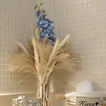 Searenity Apartamento *